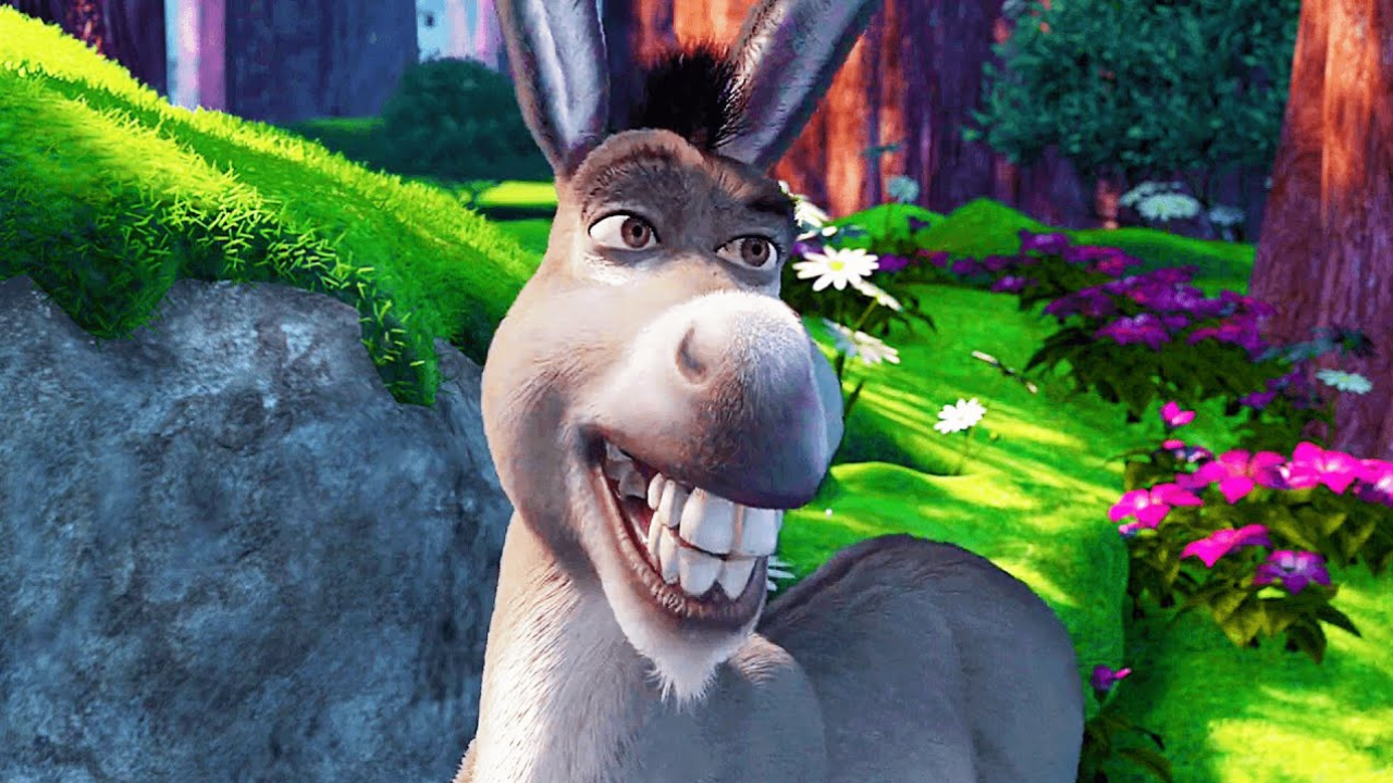 3. Donkey